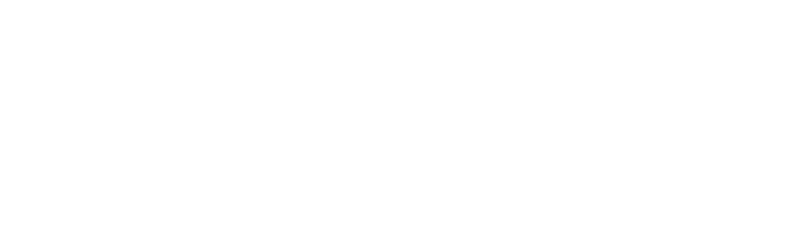 Bird's Eye Creation Logo